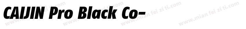 CAIJIN Pro Black Co字体转换